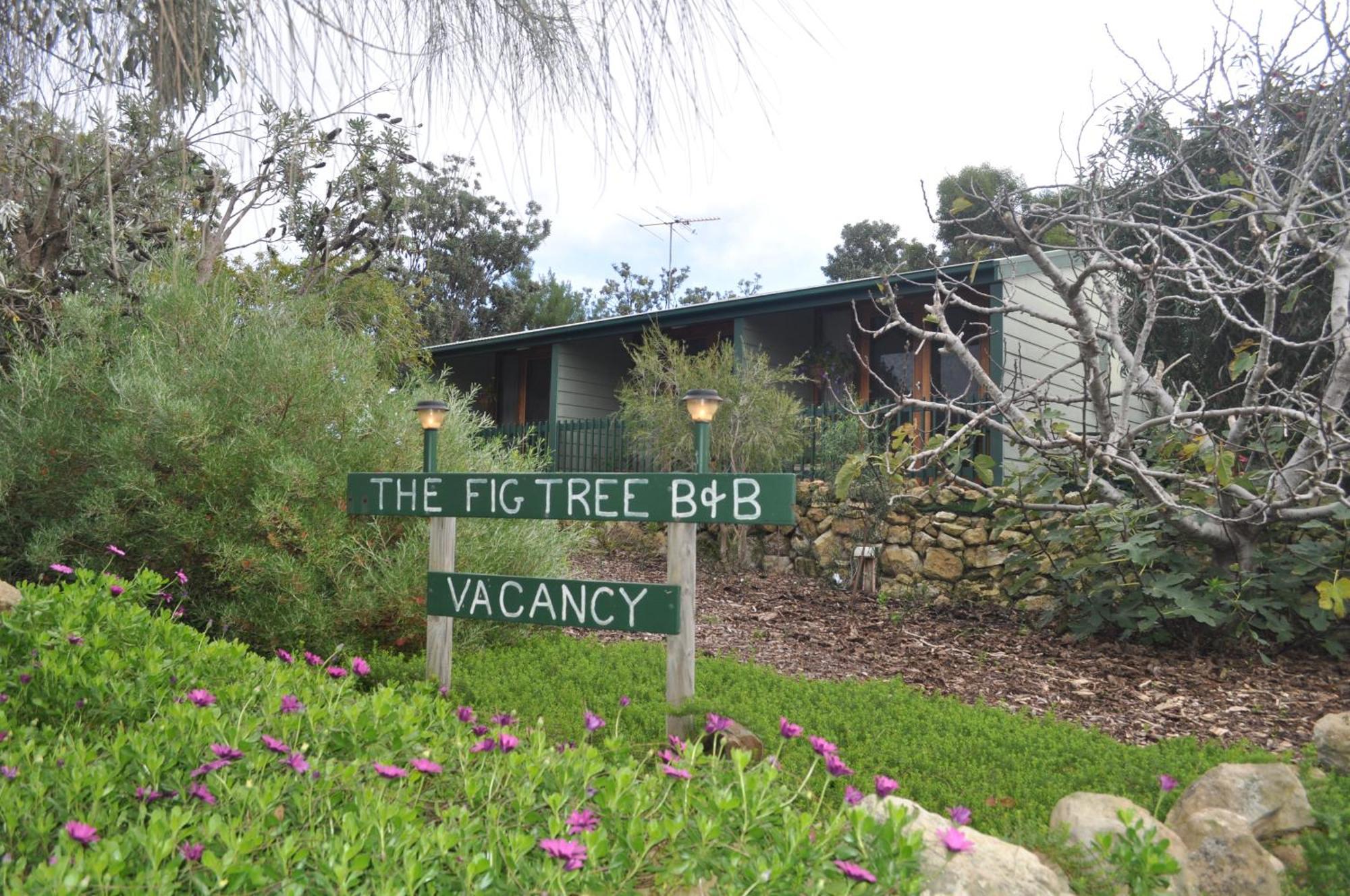 The Fig Tree B&B Baudin Beach Екстериор снимка